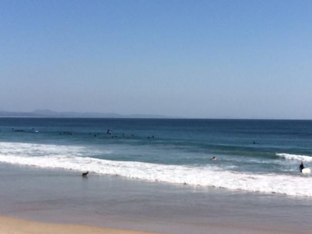 Sea Breeze On Main Beach Byron Bay Esterno foto
